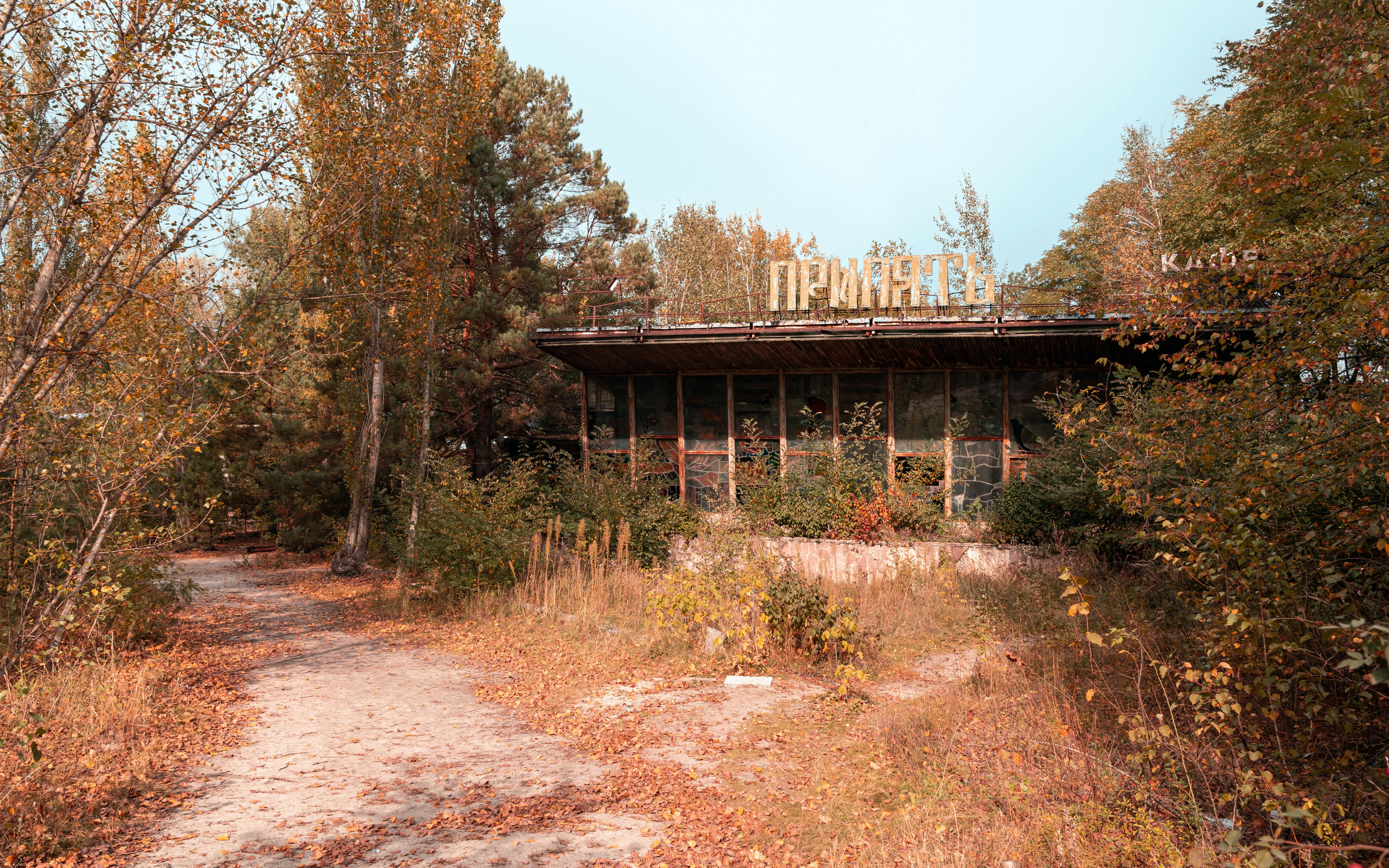 brown wooden house surrounded by trees during daytime