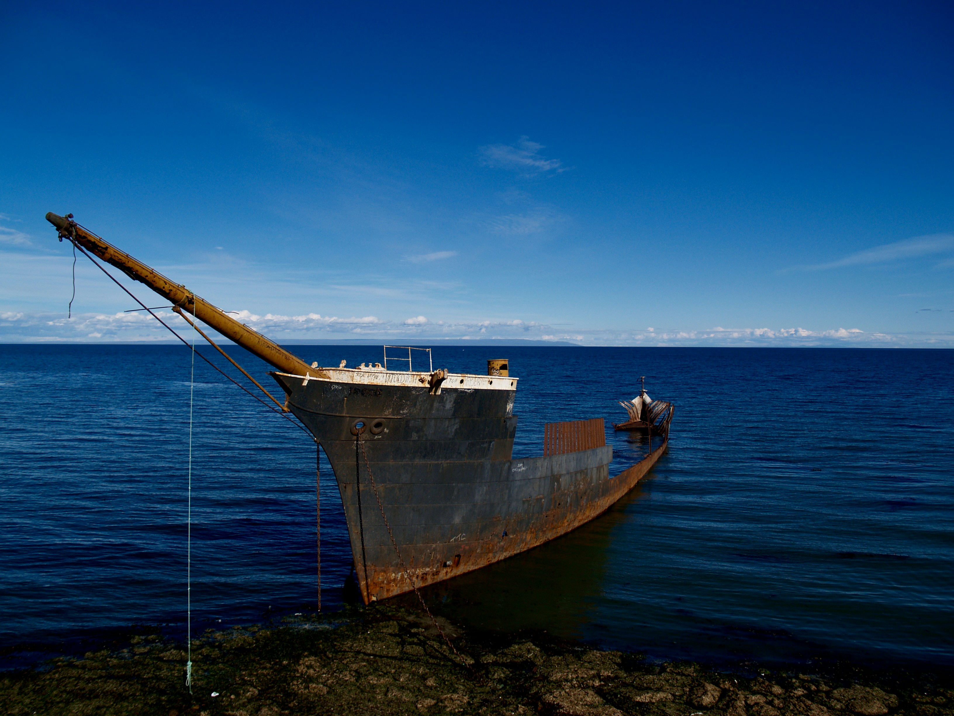 Photo by peterburdon