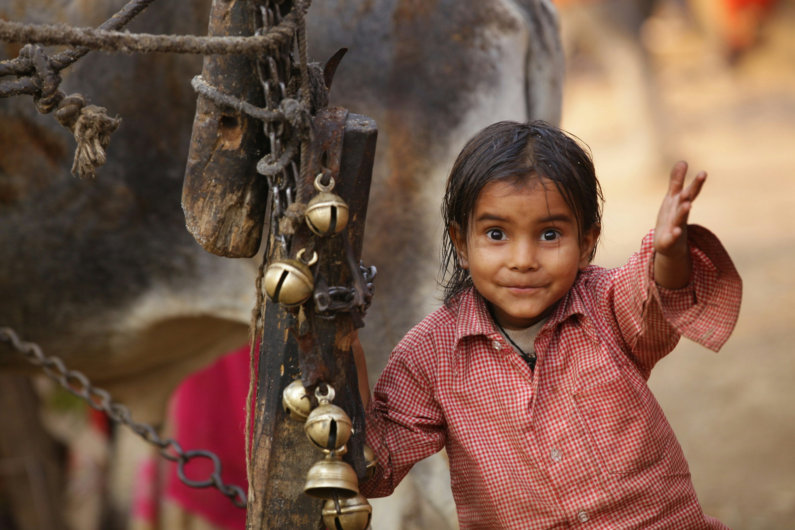 garçon en chemise boutonnée à carreaux rouge et blanc