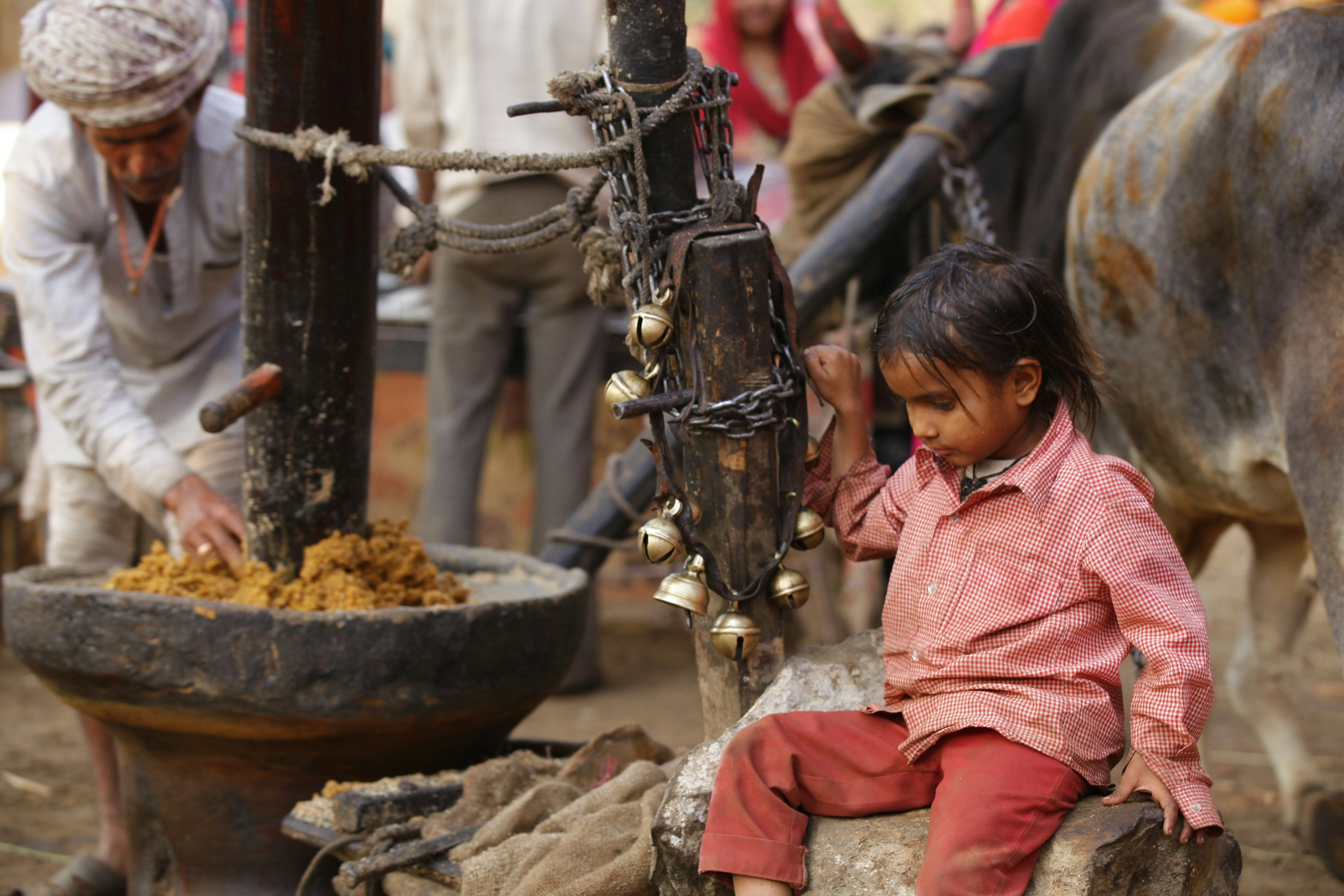 Photo by shiprabasuroy