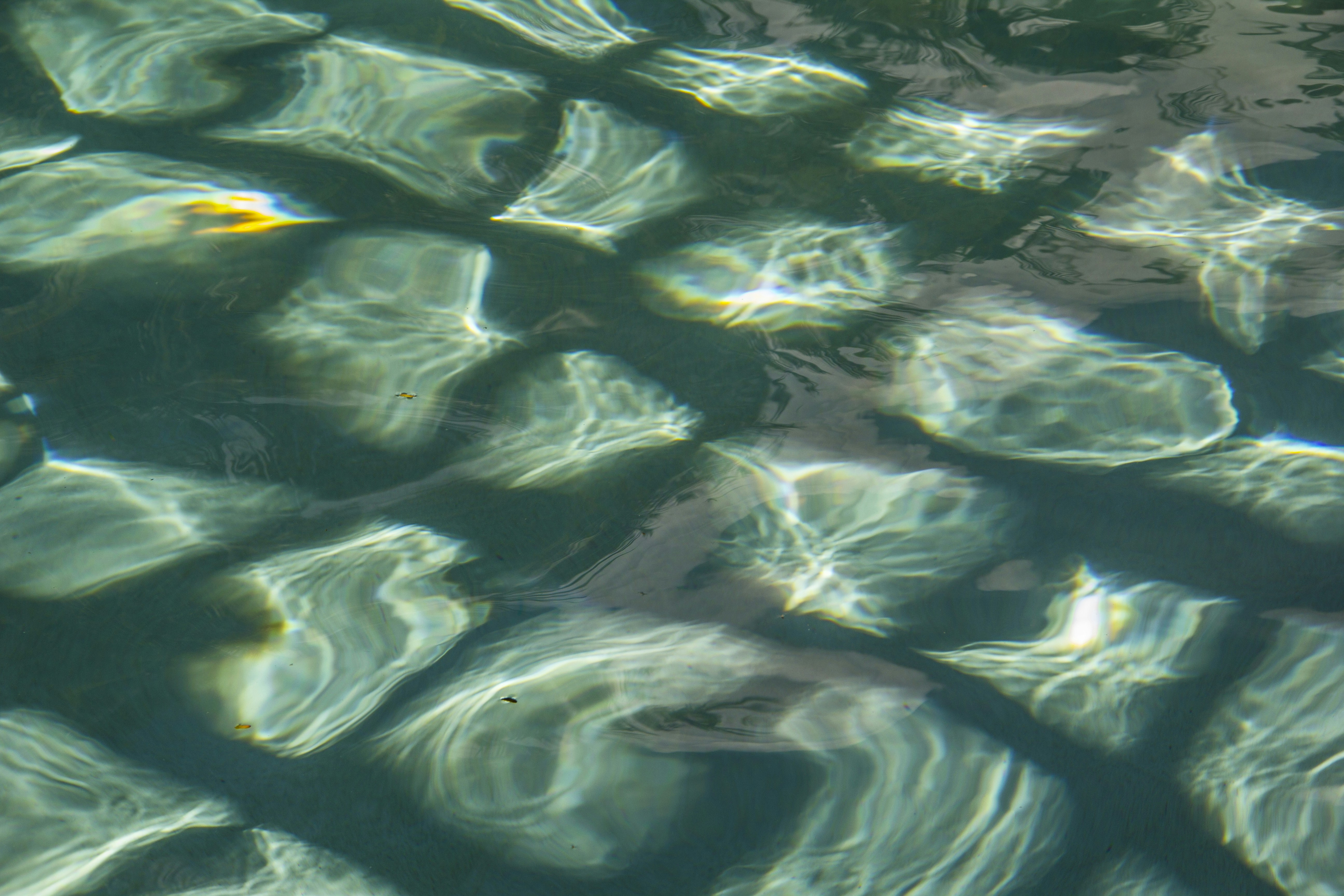 Photo by gabyvillaman