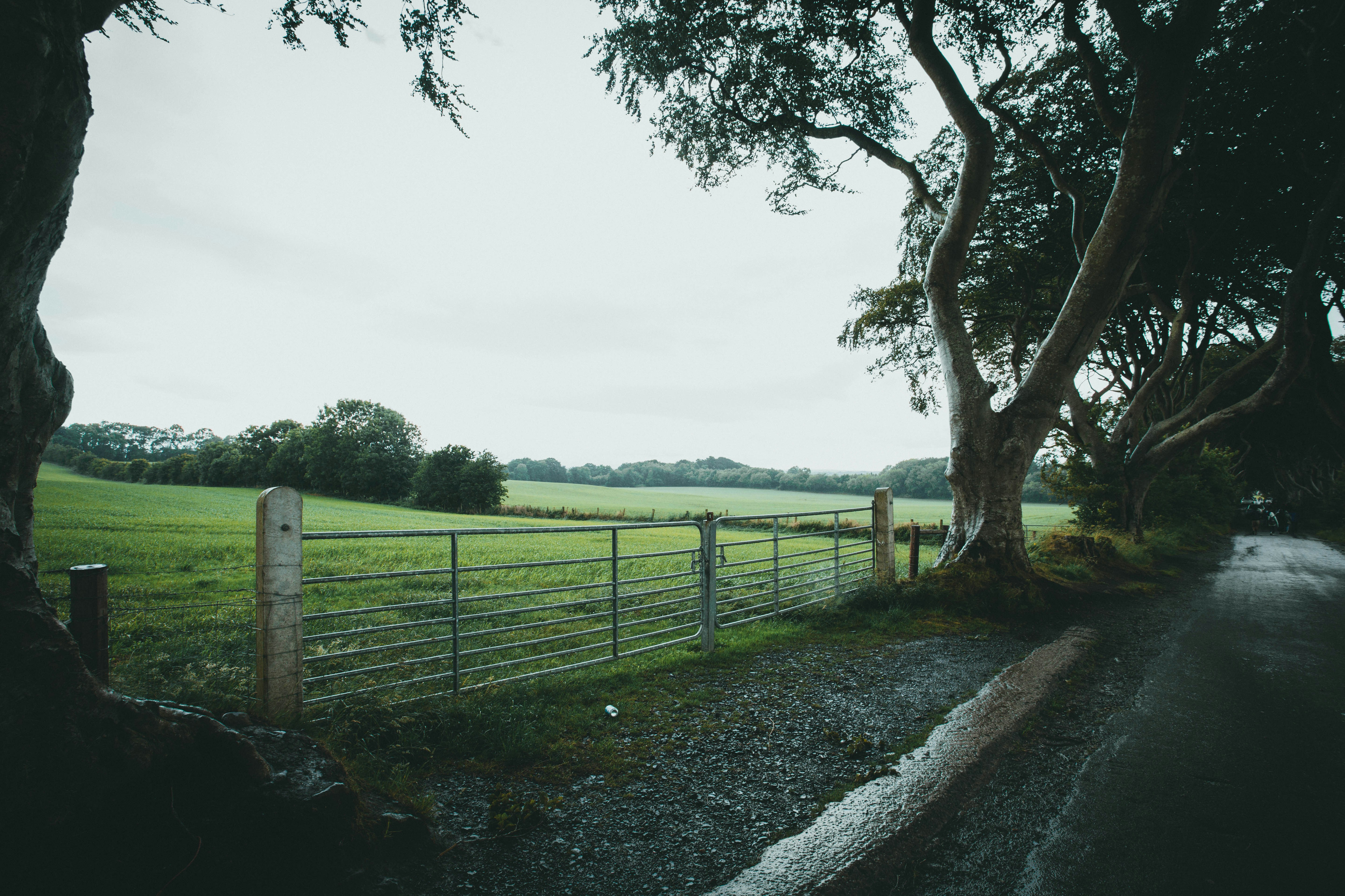 Photo by theshuttervision