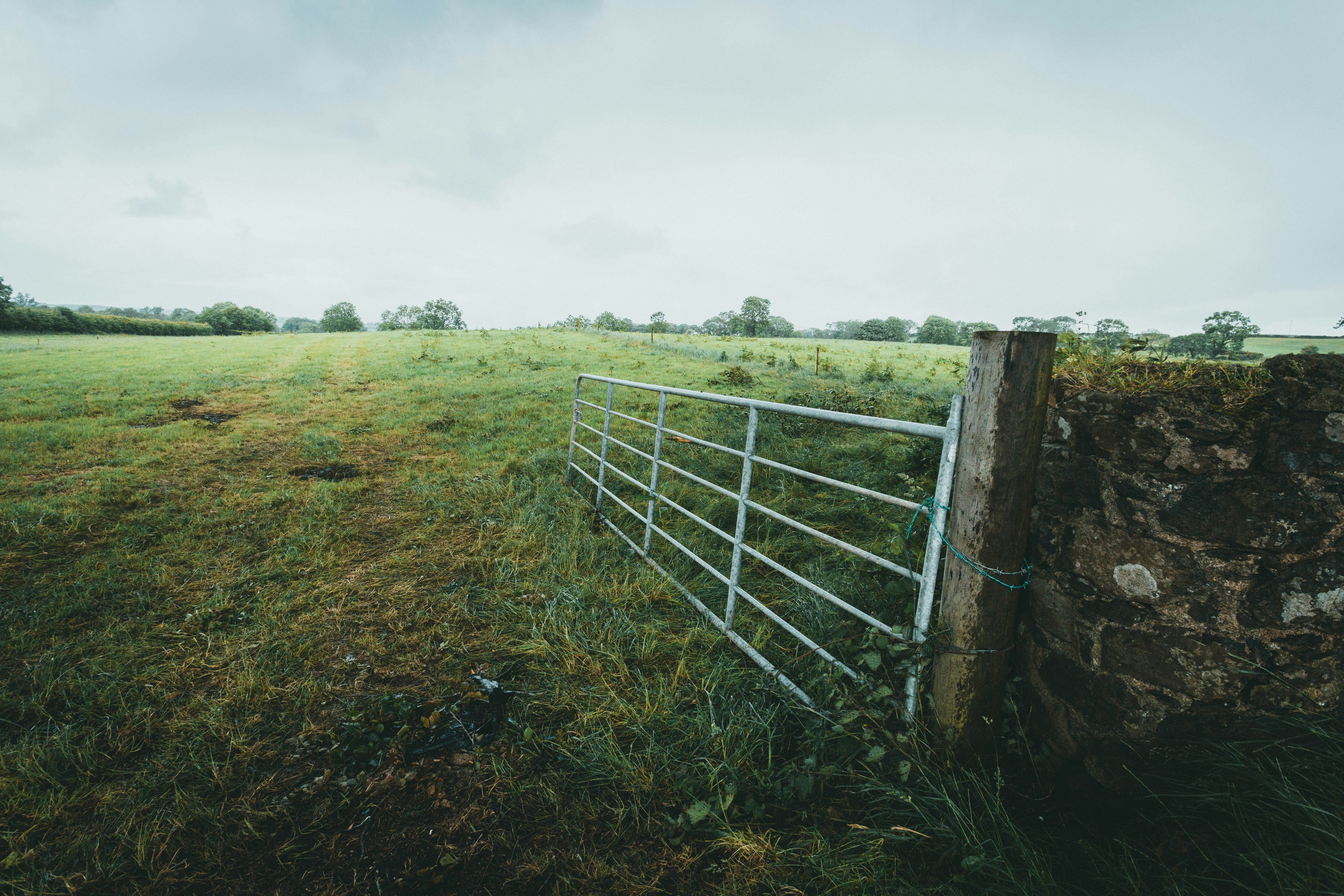 Photo by theshuttervision