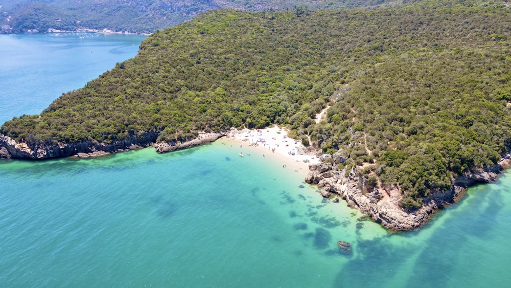 aerial view of green and brown mountain beside body of water during daytime