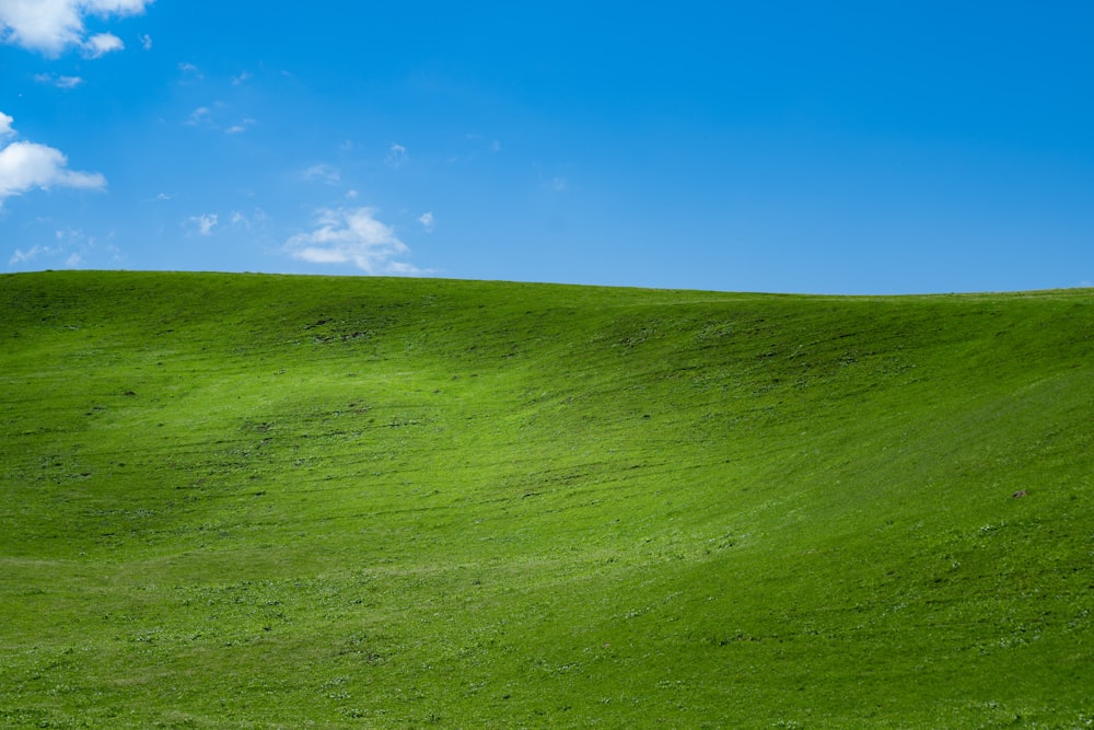 Grünes Grasfeld unter blauem Himmel tagsüber