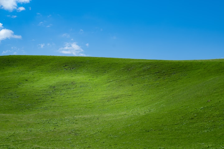 Why Is Windows XP So Fondly Remembered?