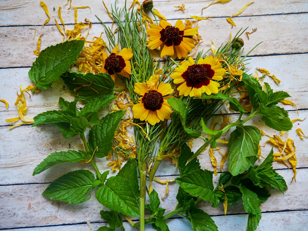 flor amarilla y marrón con hojas verdes