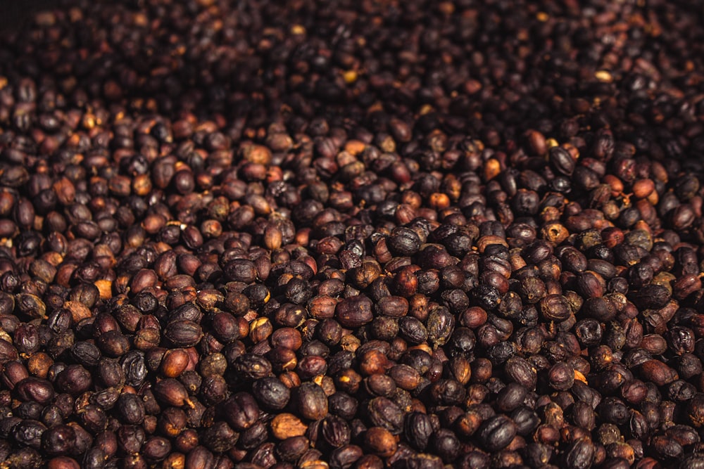 black and brown coffee beans