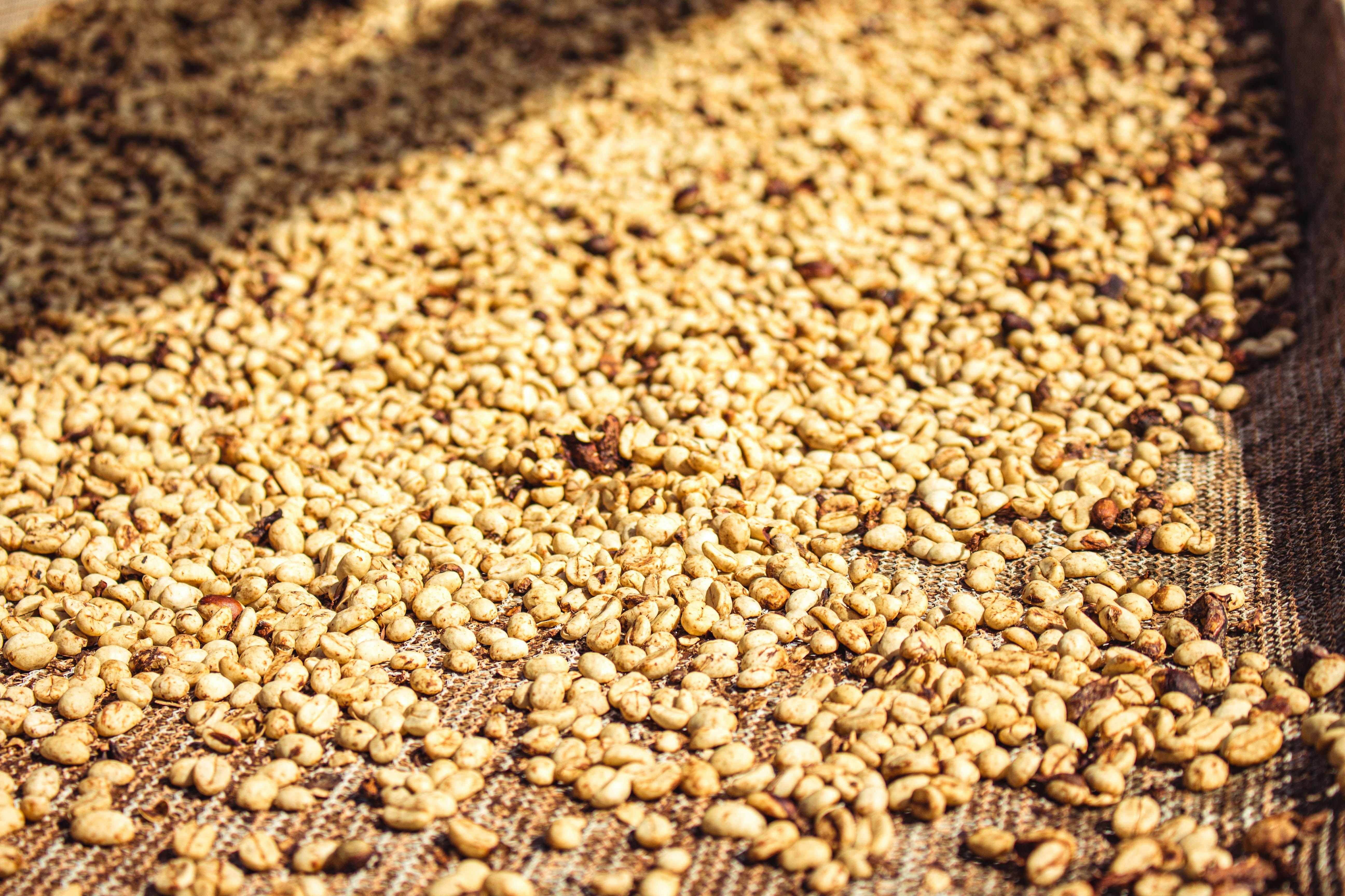 Piedras marrones y negras en la fotografía de primer plano