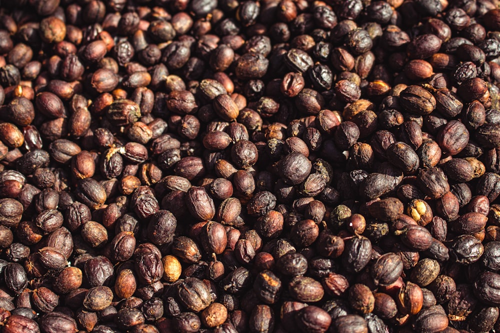 grãos de café marrons em fotografia de perto