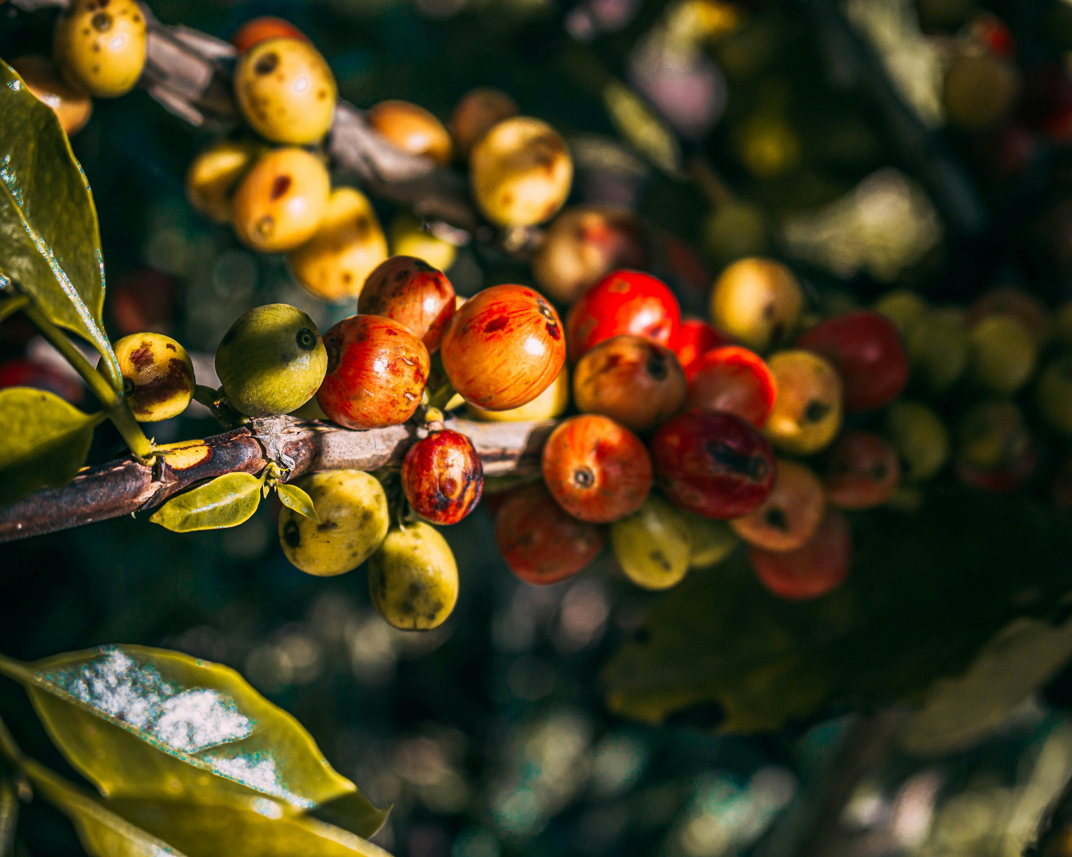 Photo by gabioppenheimer