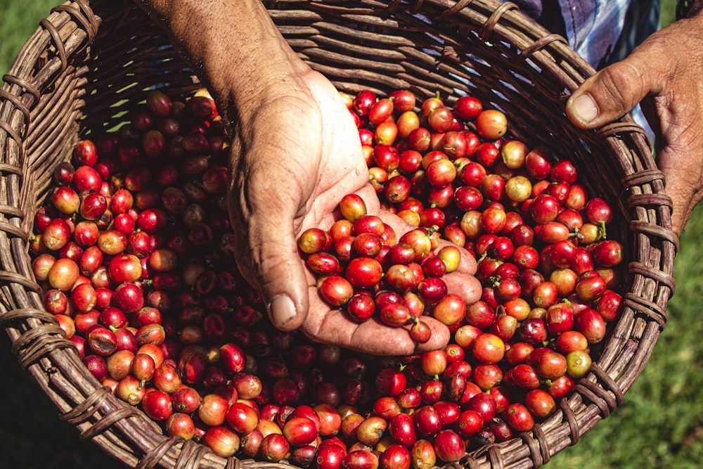 person holding red round fruit in brown woven basket