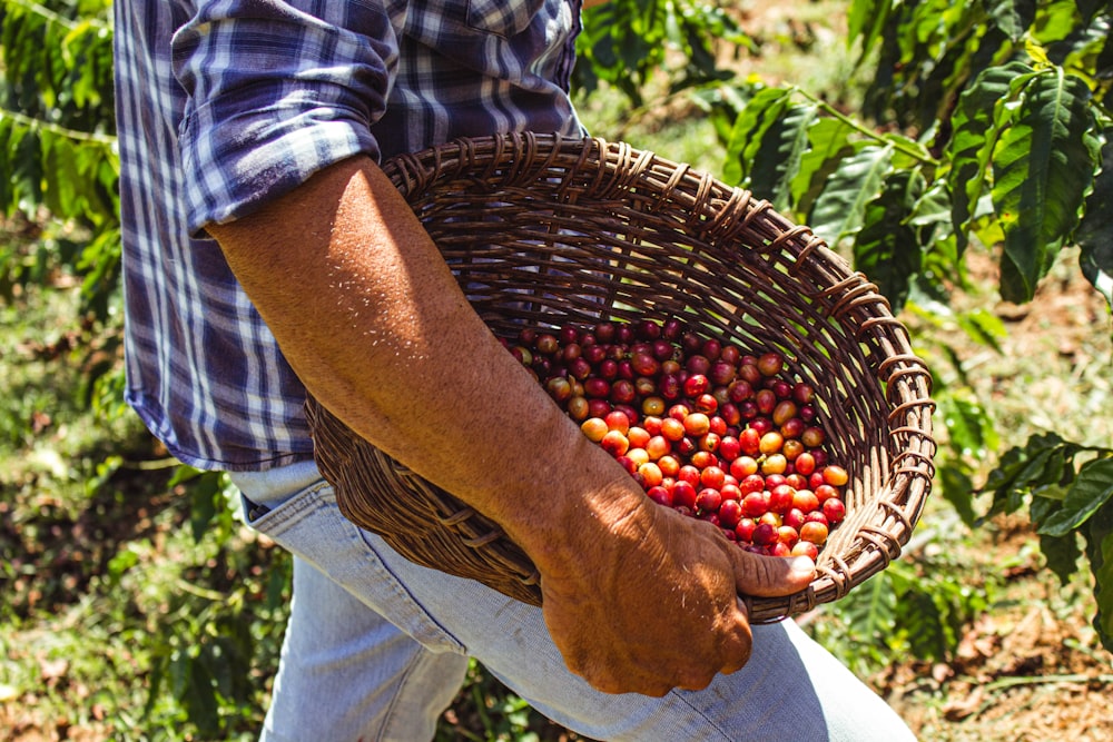 person holding brown woven basket with red round fruits