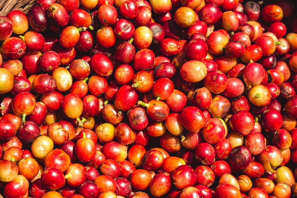 red and yellow round fruits