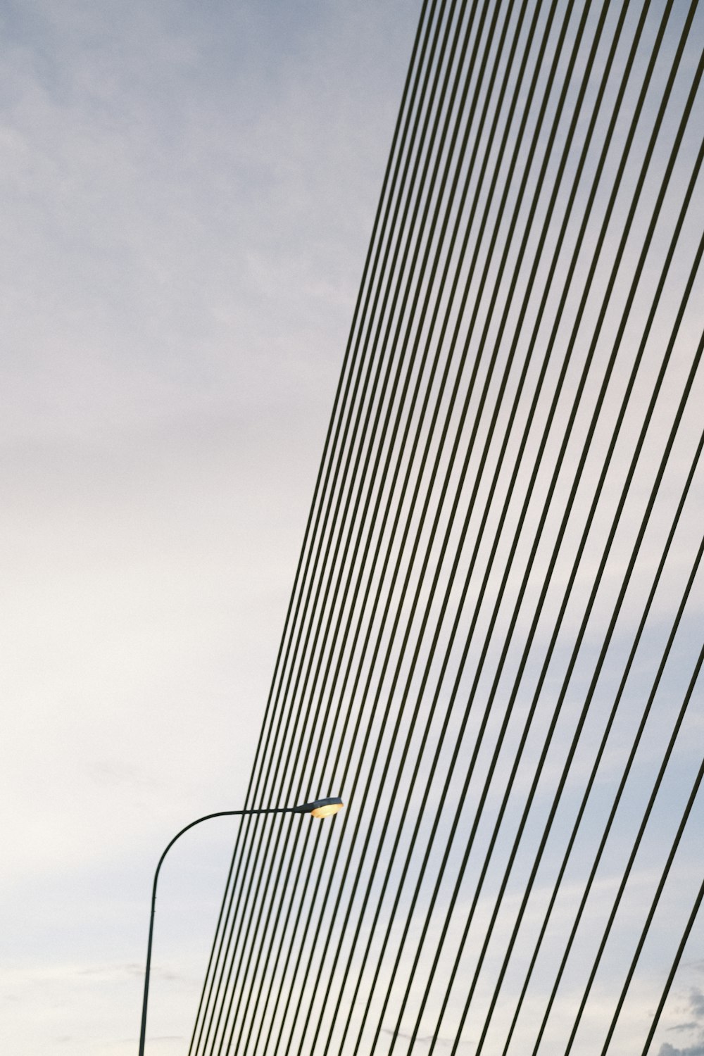 black and white high rise building