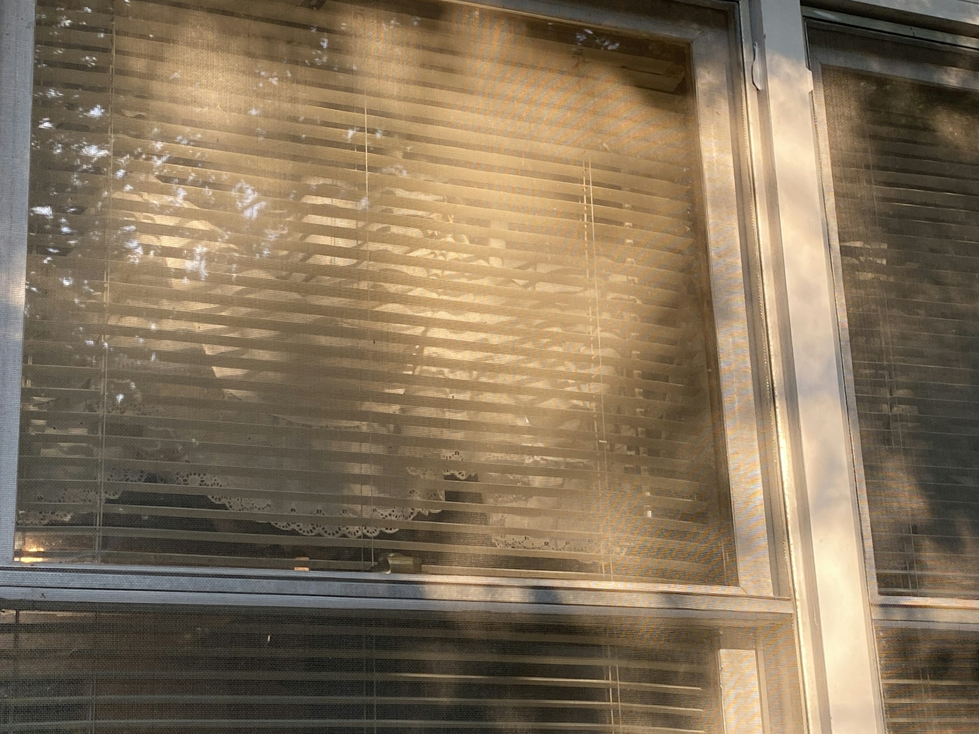 gray computer monitor