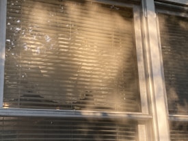 Sunlight filters through partially closed blinds, casting warm shadows on the window frame. A delicate lace curtain peeks through the slats, adding a touch of decorative detail.