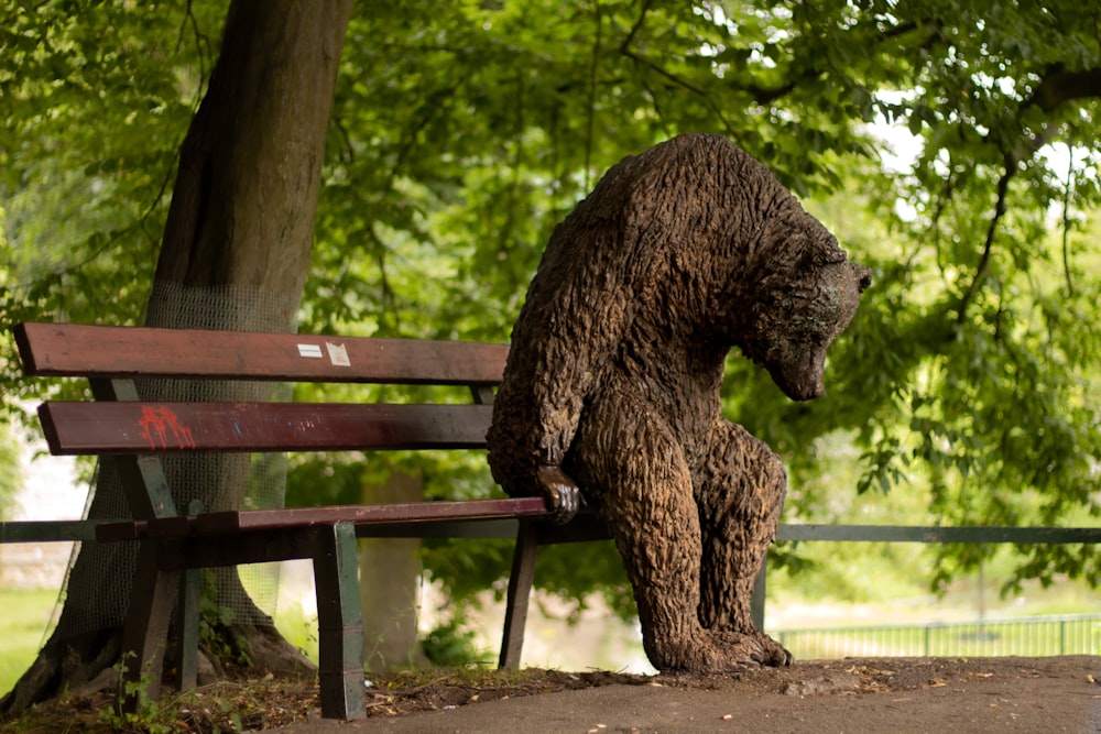 brown bear plush toy on brown wooden bench