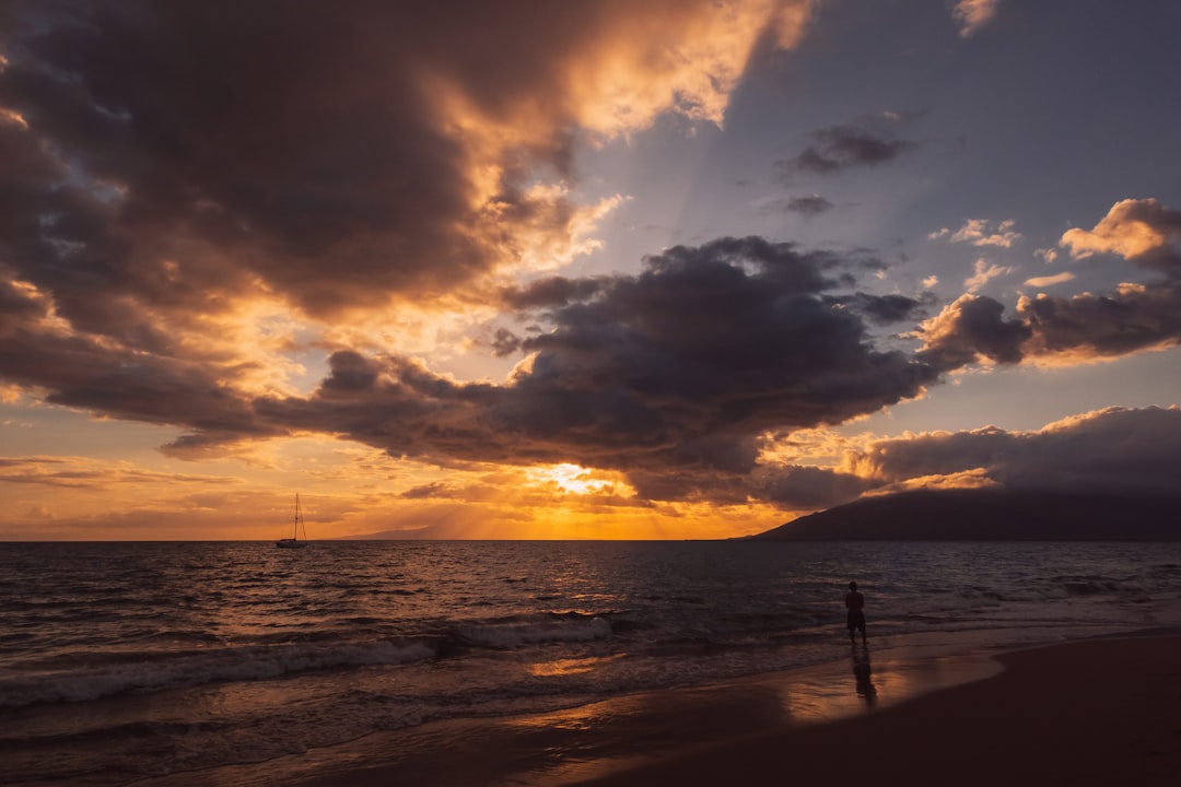 silhouette of person standing on beach during sunset