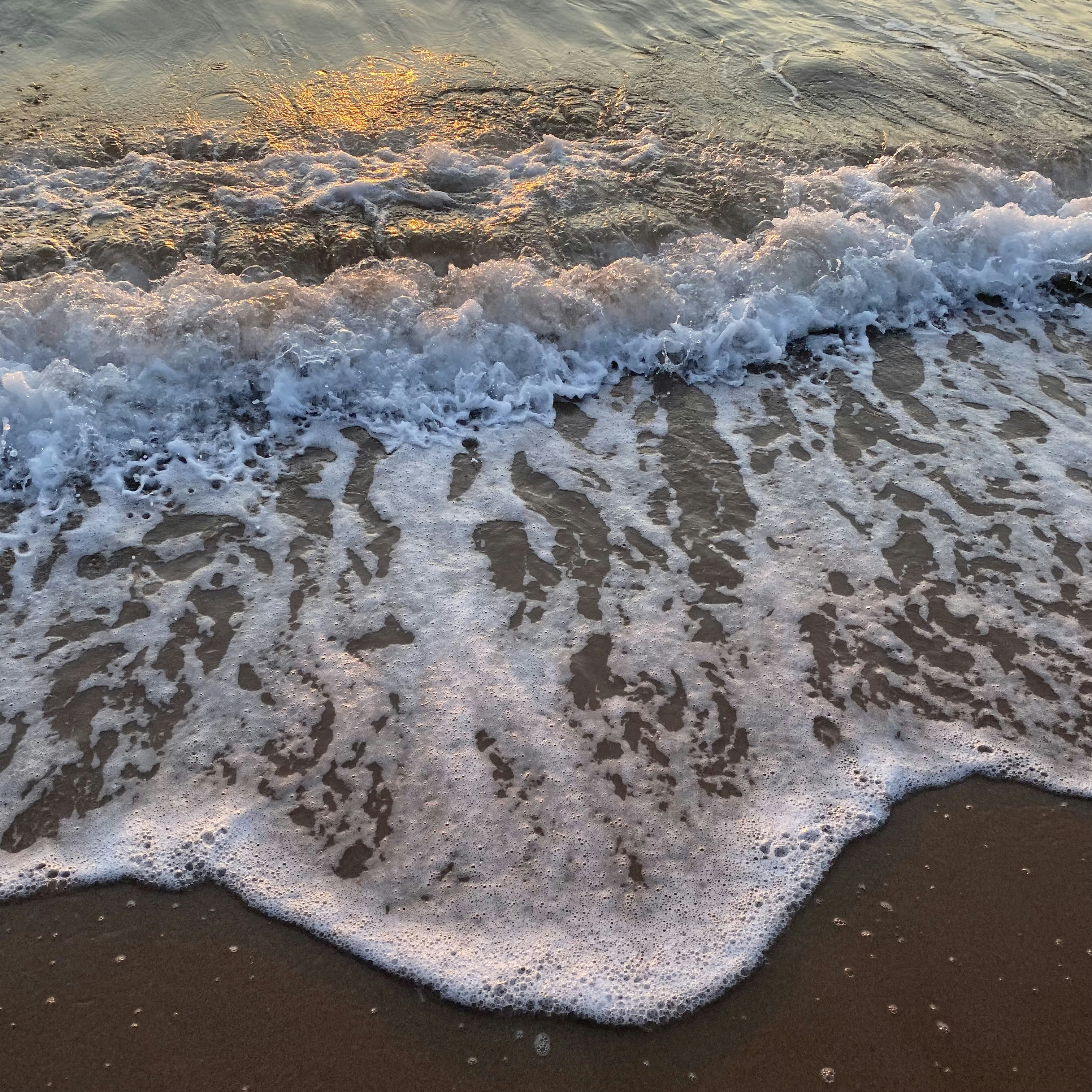 Photo by irmakaydin_3537