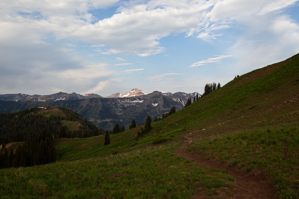 green grass field near snow covered mountains under white clouds and blue sky during daytime