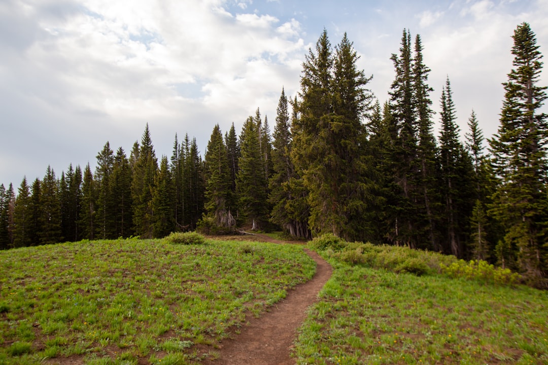 Hidden Gems 7 Secluded Trails in America's Most Popular National Pa… — Hidden Gems 7 Secluded Trails in