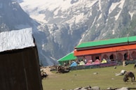 A building with a green roof and brick walls stands amidst a mountainous landscape. Snowy peaks rise in the background, and a corrugated metal structure is partially visible to the left. The foreground features a grassy area with several tents and grazing animals.