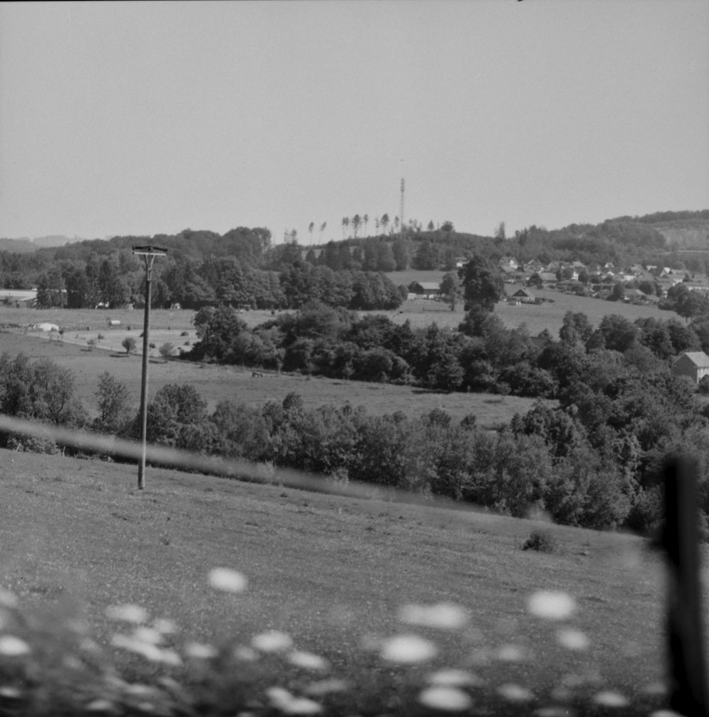 grayscale photo of trees and mountains