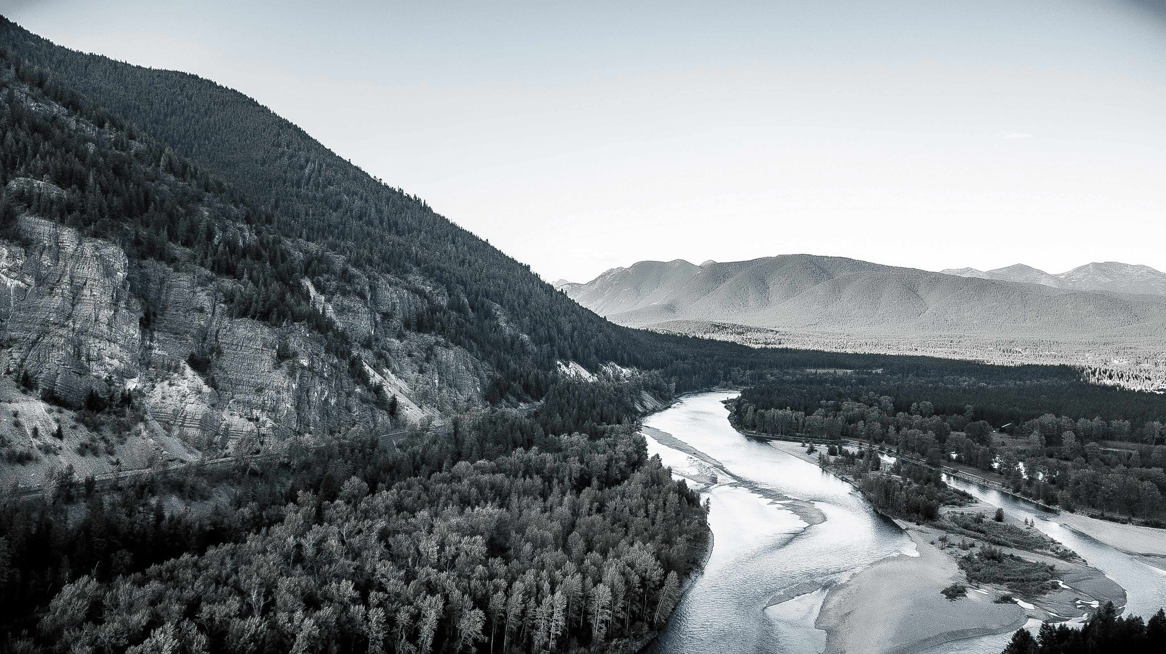 Arbres et montagnes enneigés pendant la journée