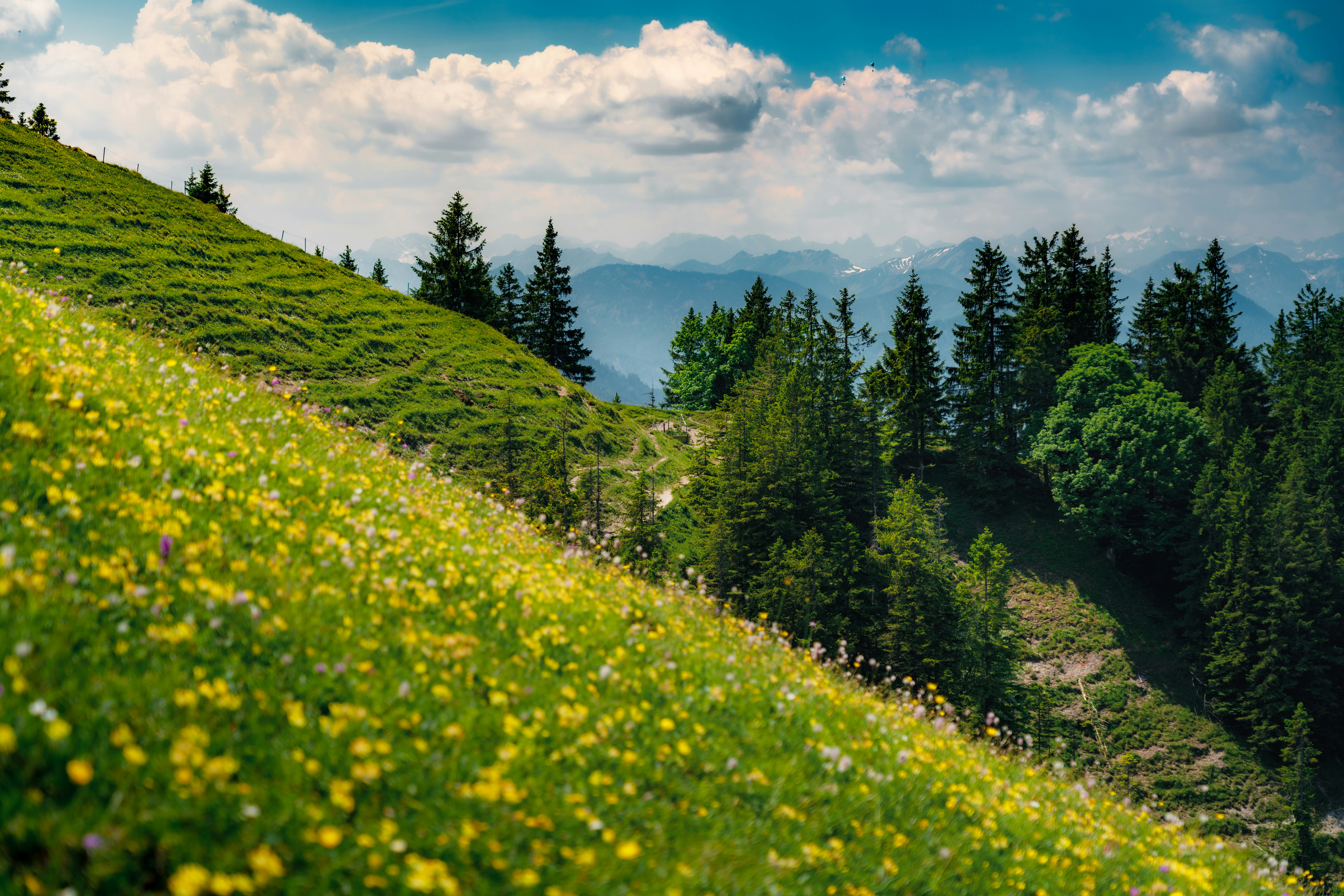 Photo by danielsessler