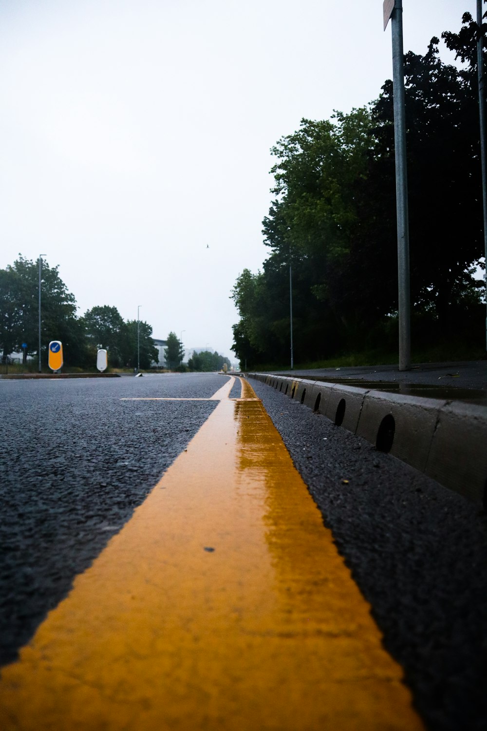 gray concrete road between trees during daytime