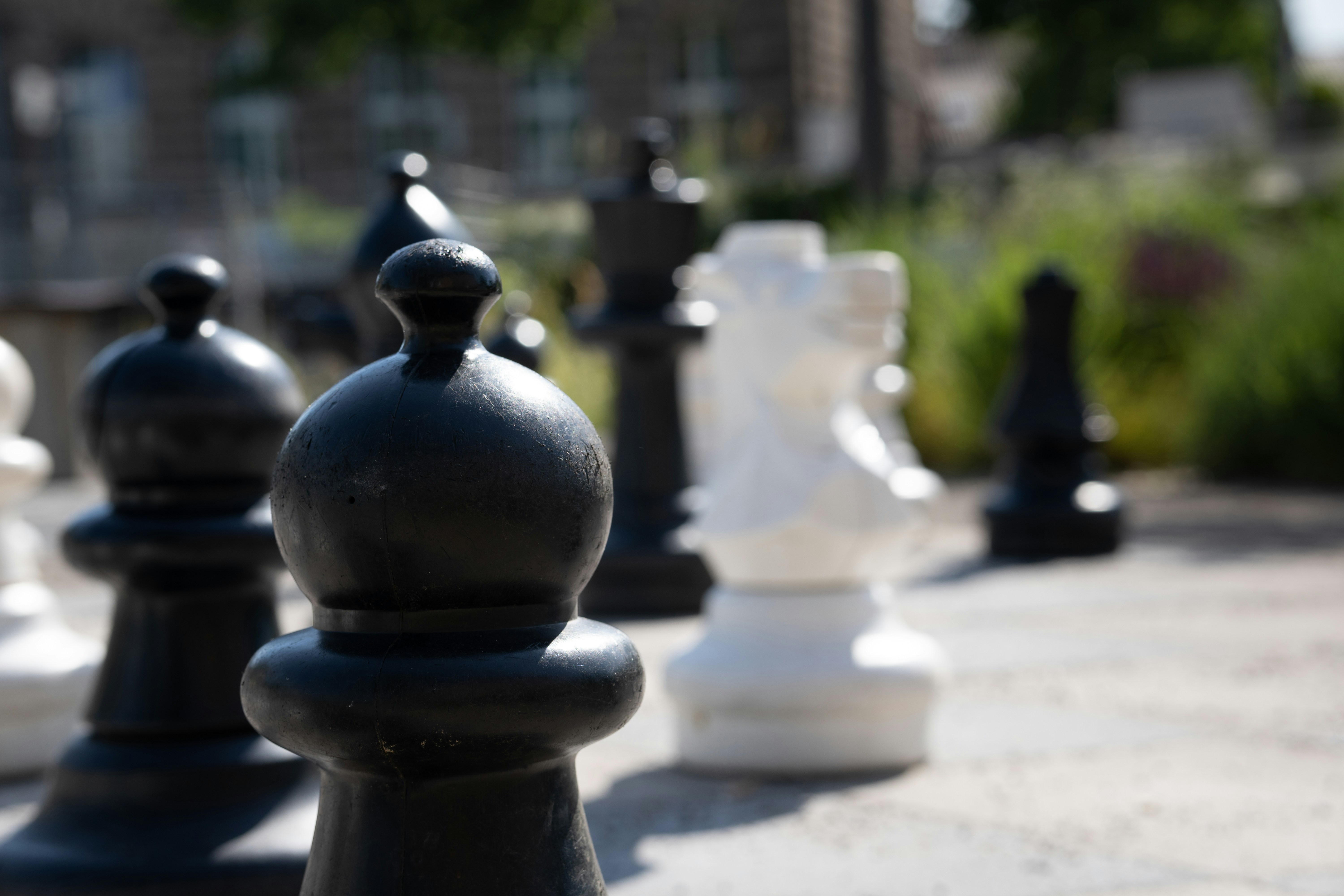 Réservez votre animation