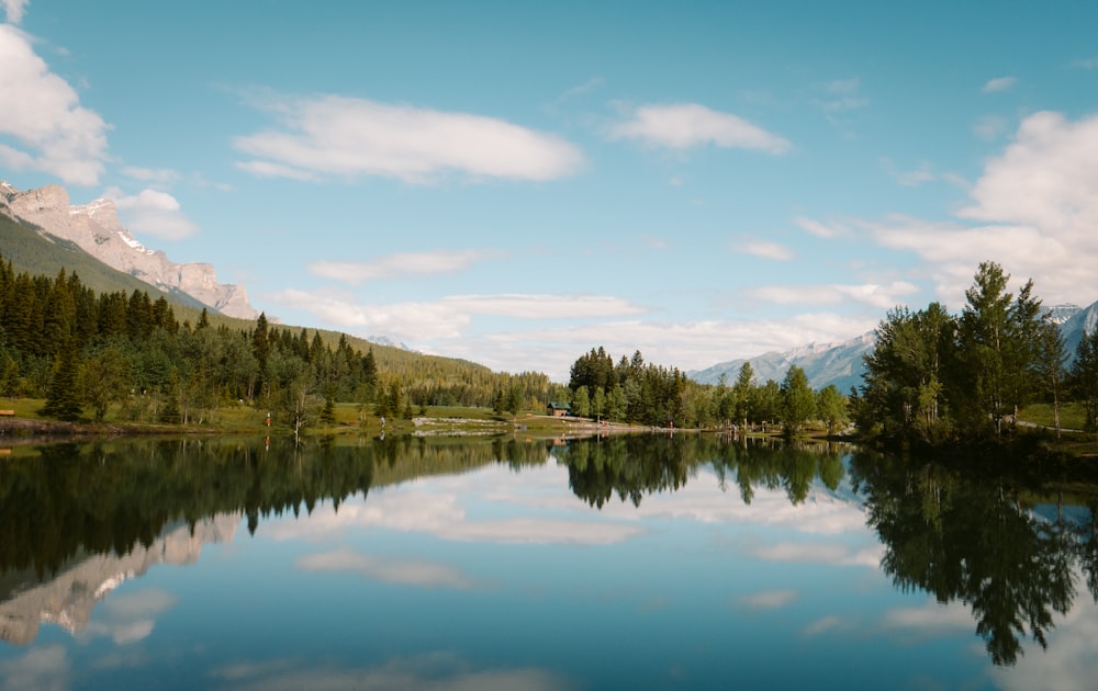 green trees near lake under blue sky during daytime