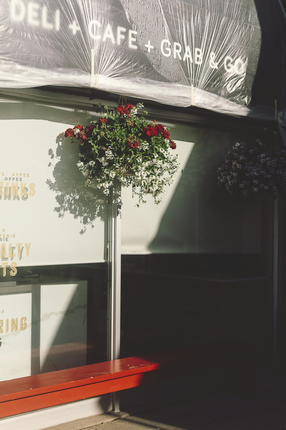 white and red flowers on black wooden window