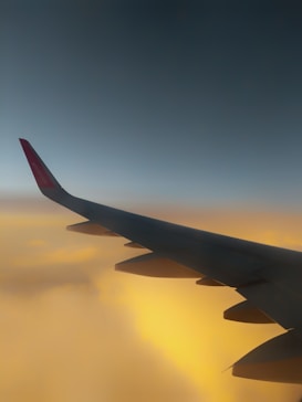 Photo 1624663856424 B1e108845338?q=85&w=273&h=462&fit=crop