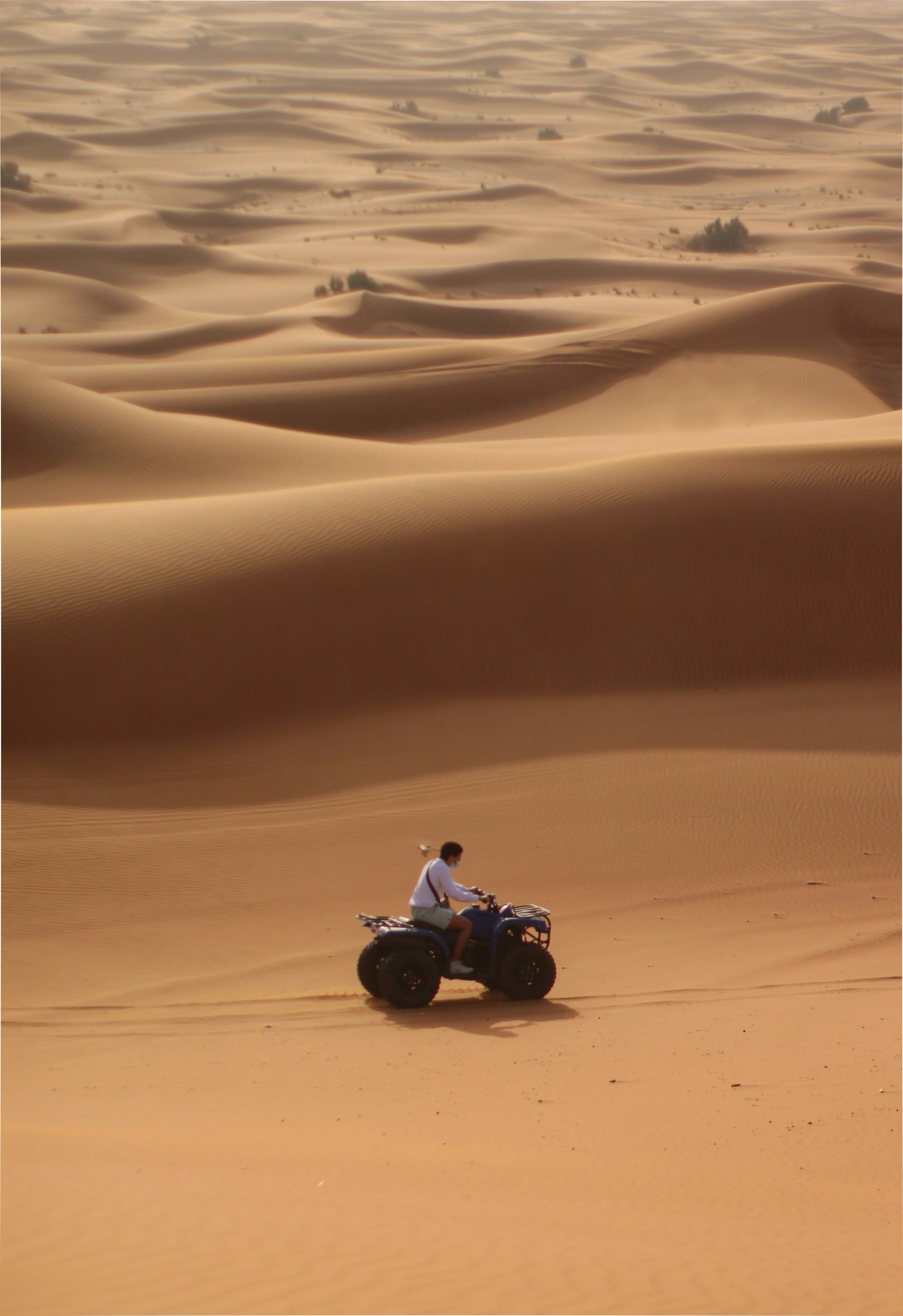a man riding a four wheeler in the desert