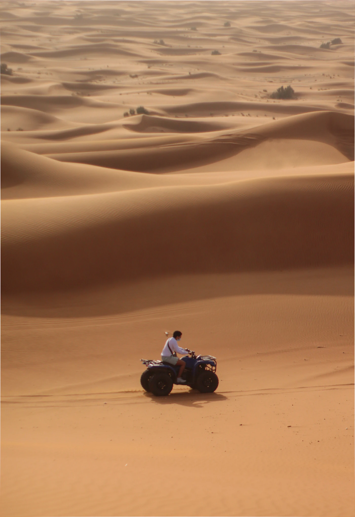 Quad & buggy