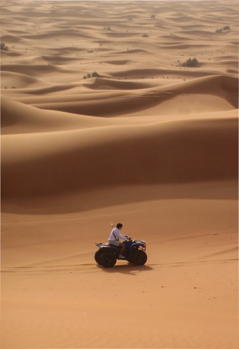 Desert Safari VIP Experience