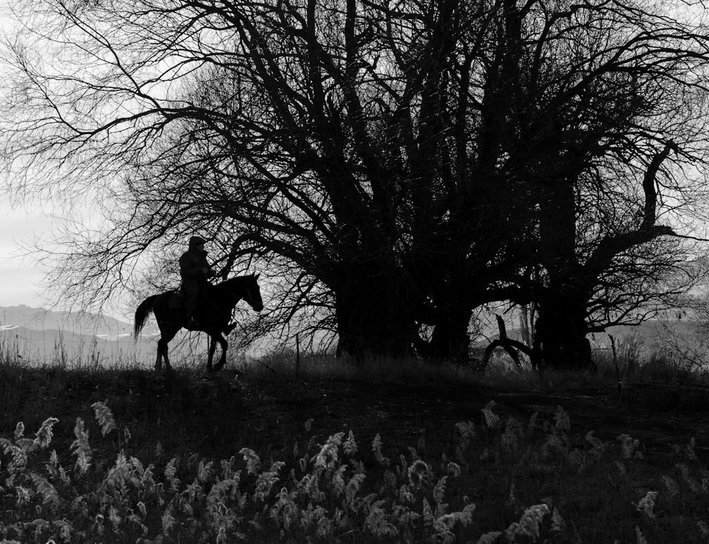 grayscale photo of horse on grass field