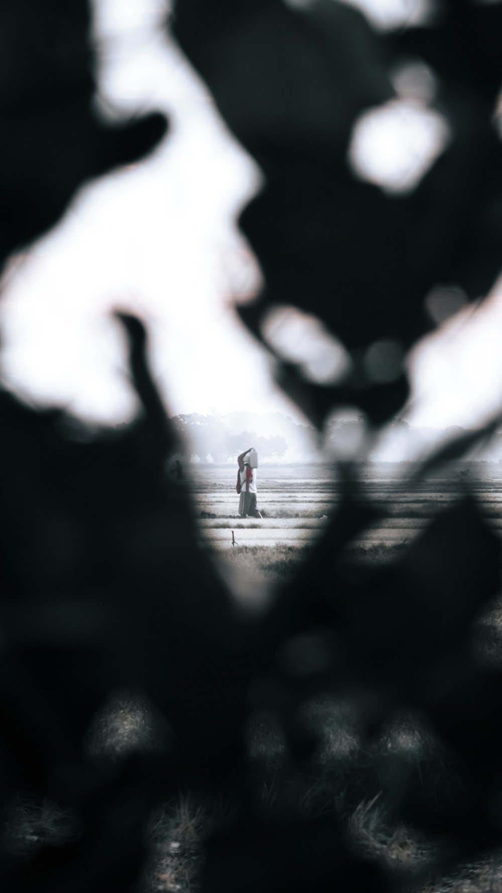 people walking on the street during daytime