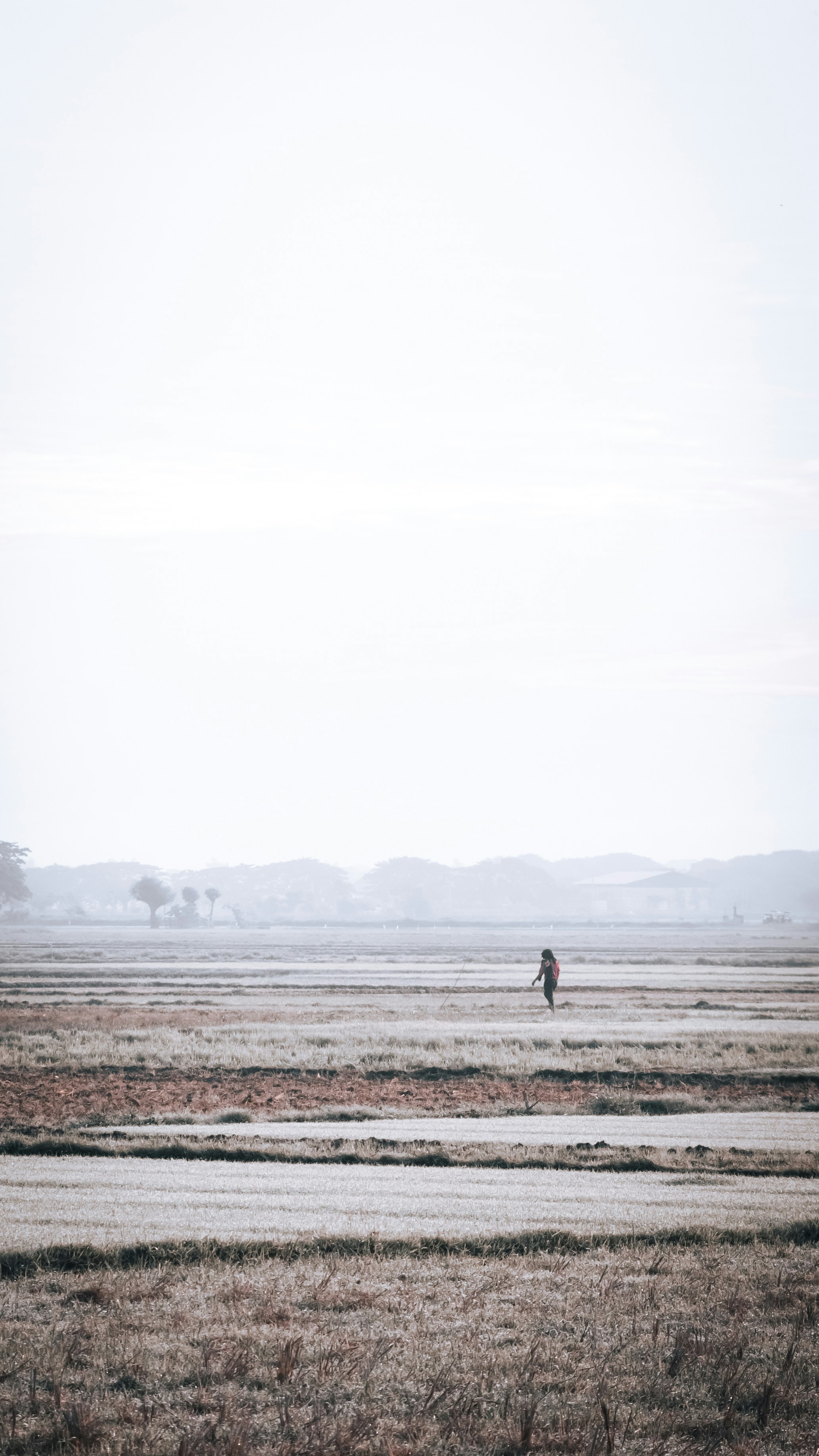 person walking on brown field during foggy weather