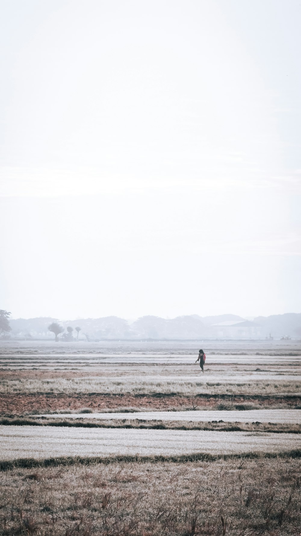 person walking on brown field during foggy weather