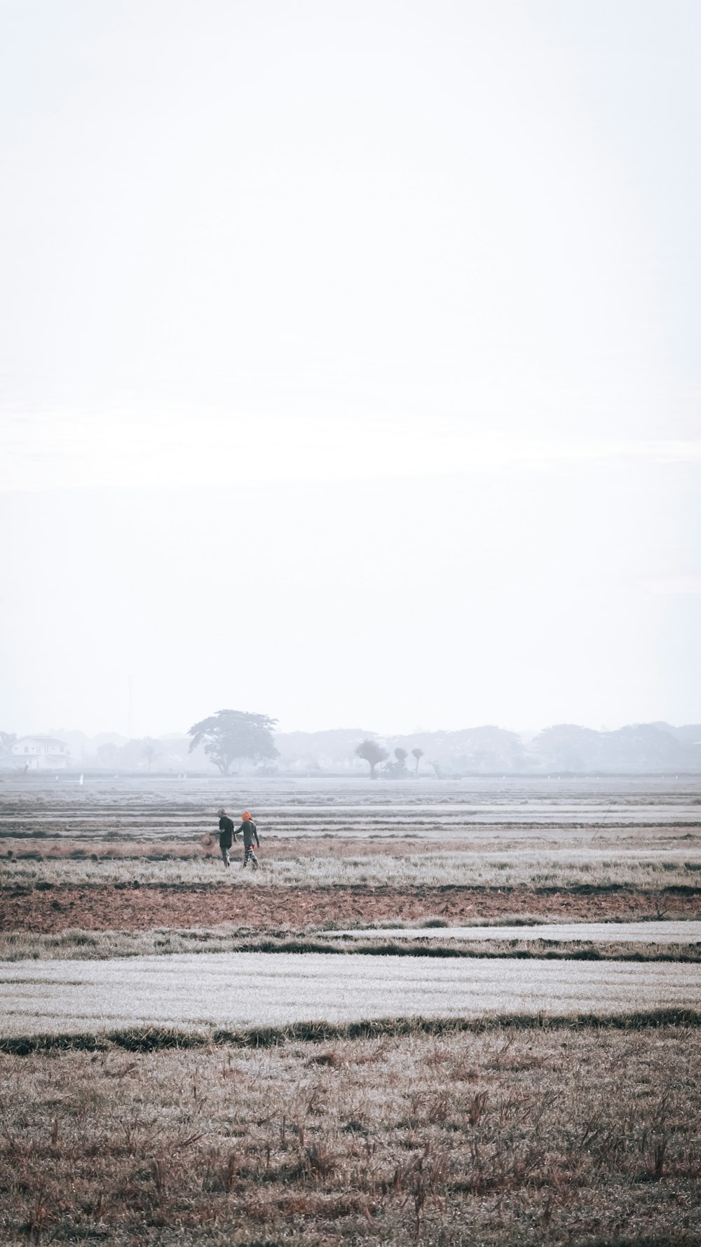 2 people walking on brown field during daytime