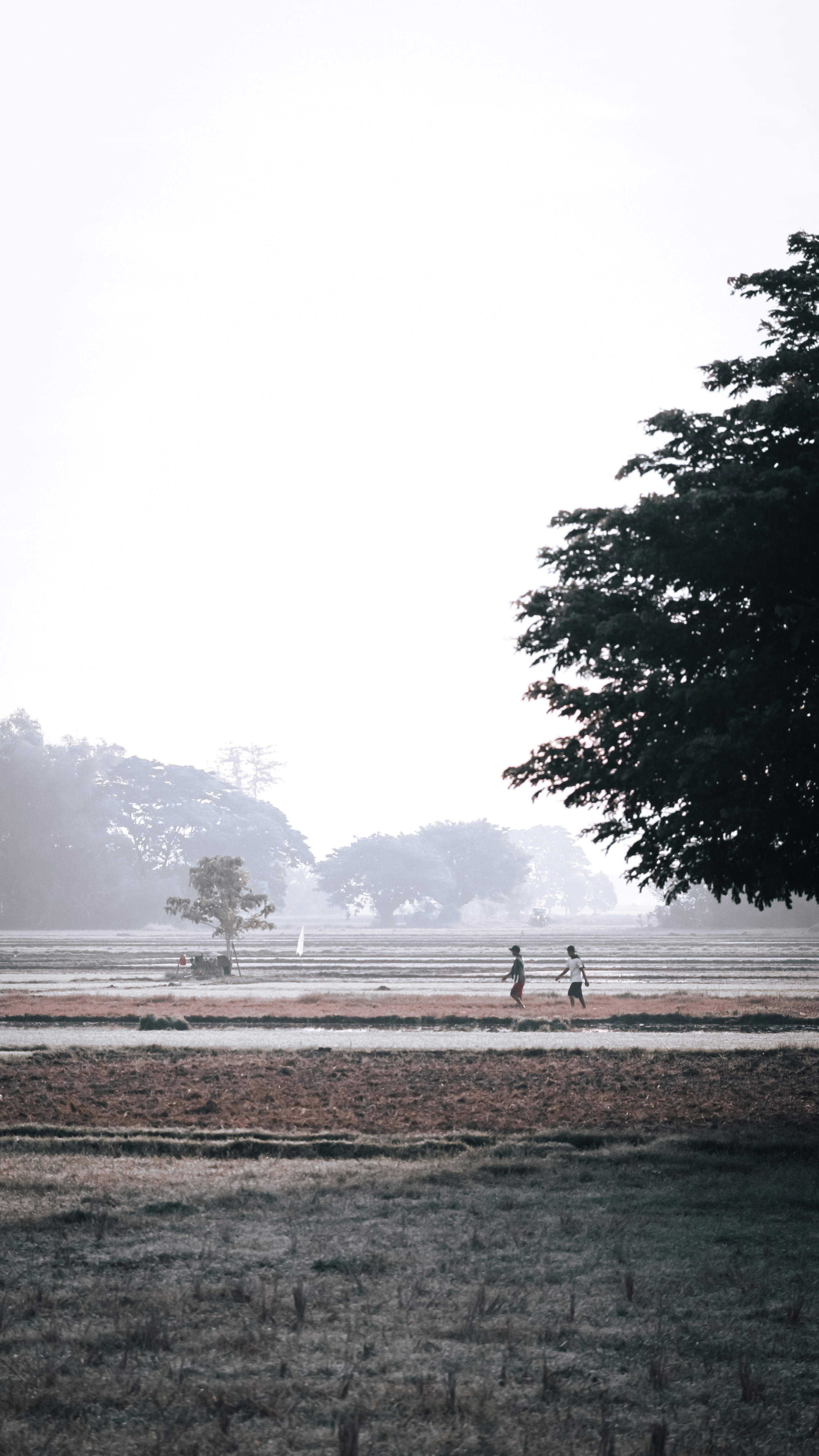 people standing on field near body of water during daytime