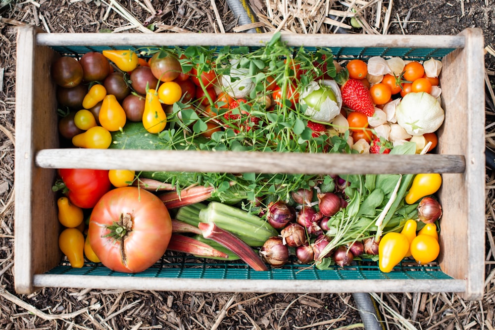 tomates jaunes et rouges sur caisse en plastique vert