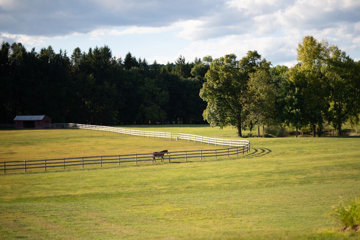 Open countryside around the farm