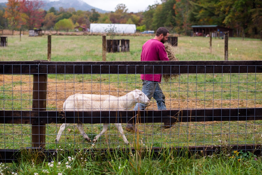 man and woman standing on green grass field with white sheep during daytime