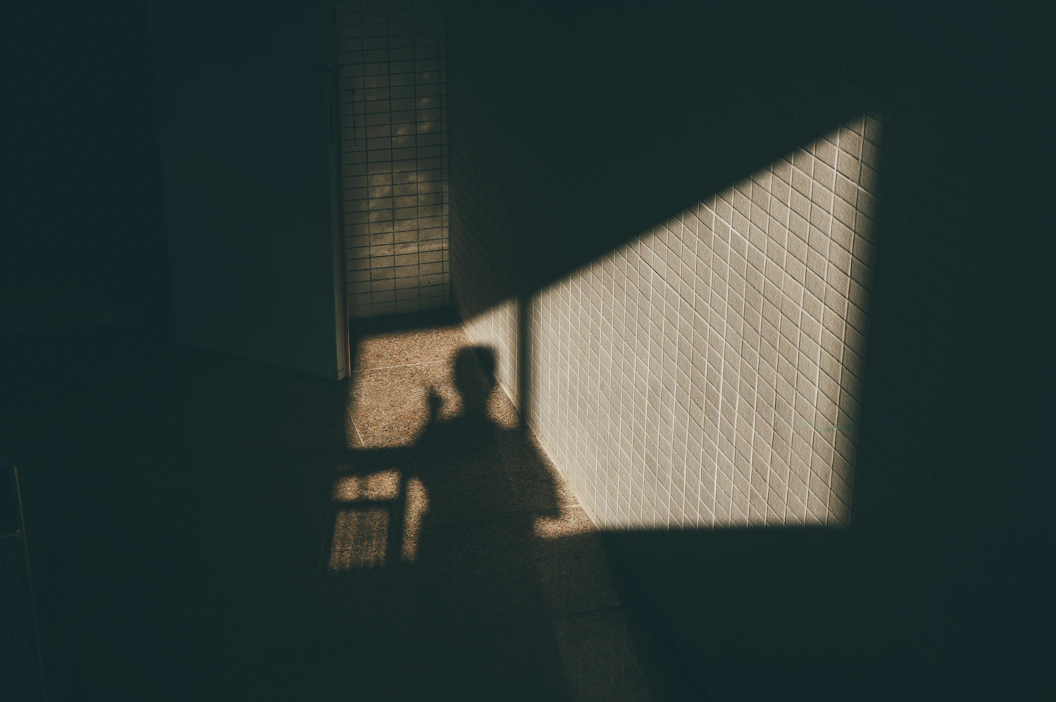 A figure's shadow thrown across a tiled wall by late afternoon light