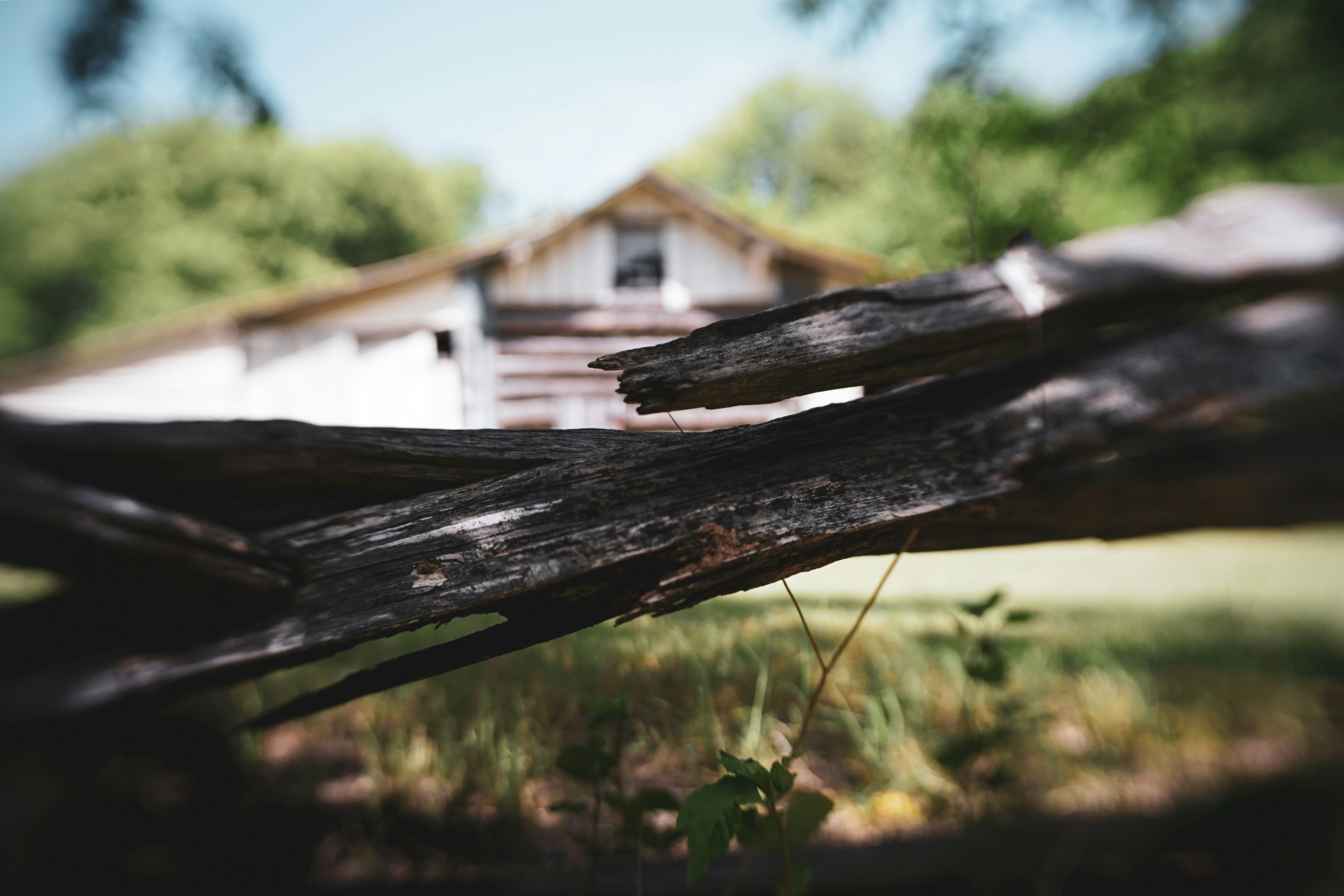 Photo by laurar1vera