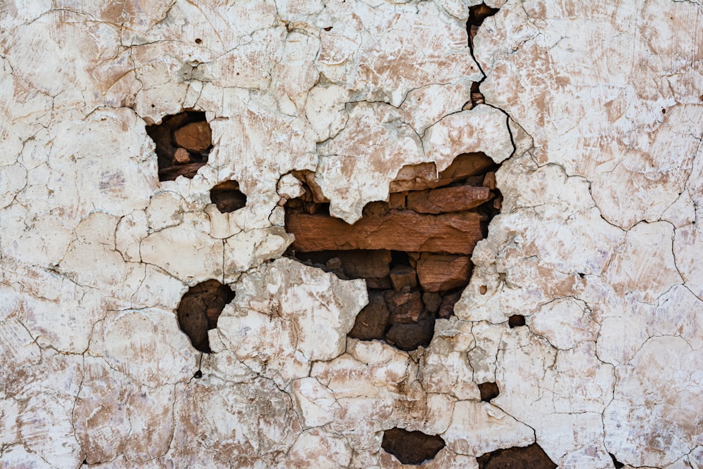 Muro de hormigón marrón y blanco